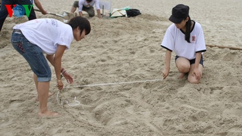 Cuộc thi “Xây tượng cát Việt Nam năm 2013” lần thứ 2  - ảnh 1